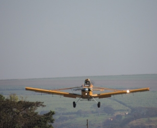 PIPER PAWNEE PA25-260 (PUELCHE)